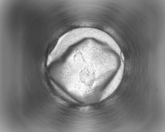 X0000068890309200606021926