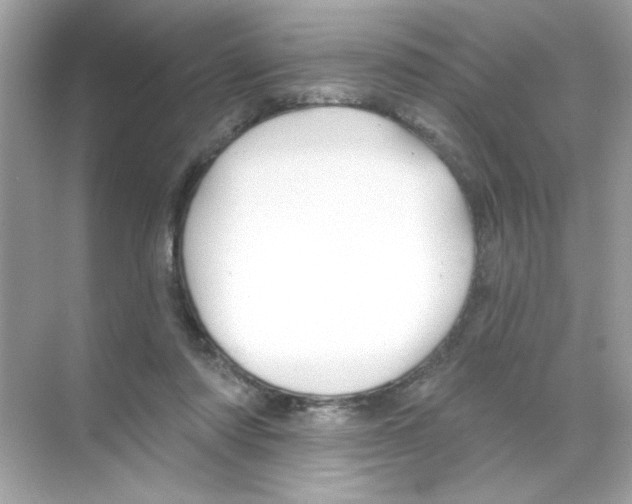 X0000068890310200606021926