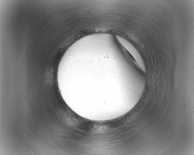 X0000068890311200606021926