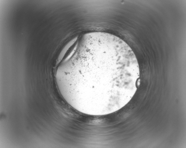 X0000068890312200606021926