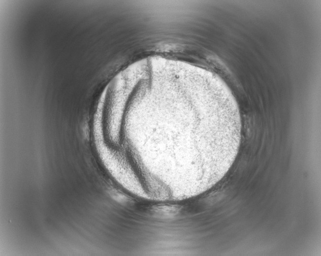 X0000068890313200606021926