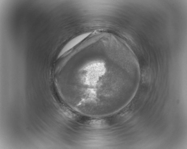 X0000068890314200606021926