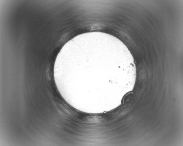 X0000068890316200606021926