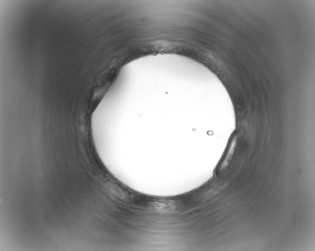 X0000068890317200606021926