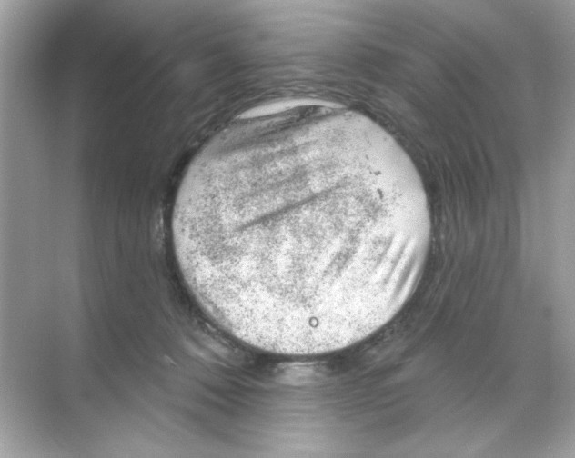 X0000068890320200606021926