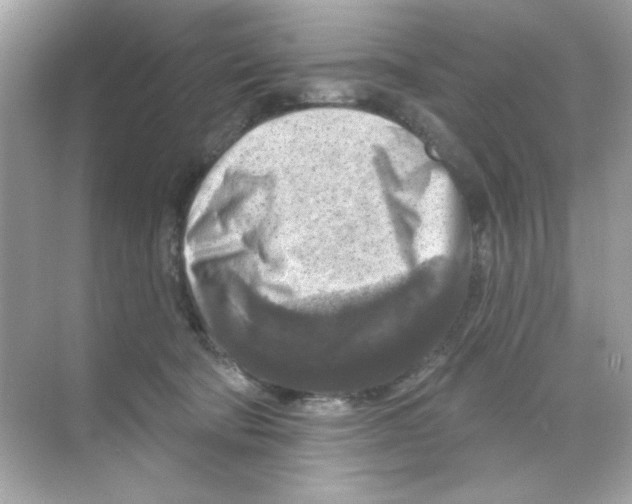 X0000068890322200606021926