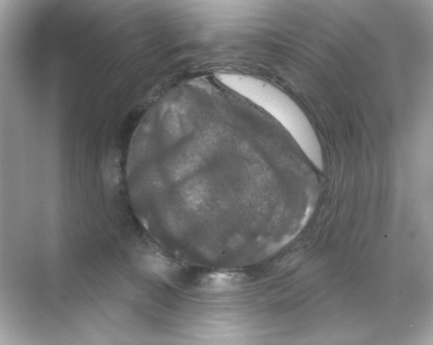 X0000068890323200606021926