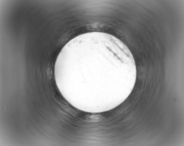 X0000068890324200606021926