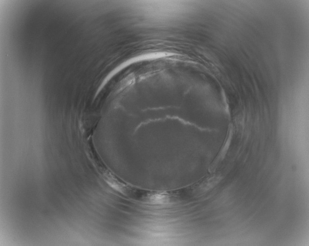 X0000068890325200606021926