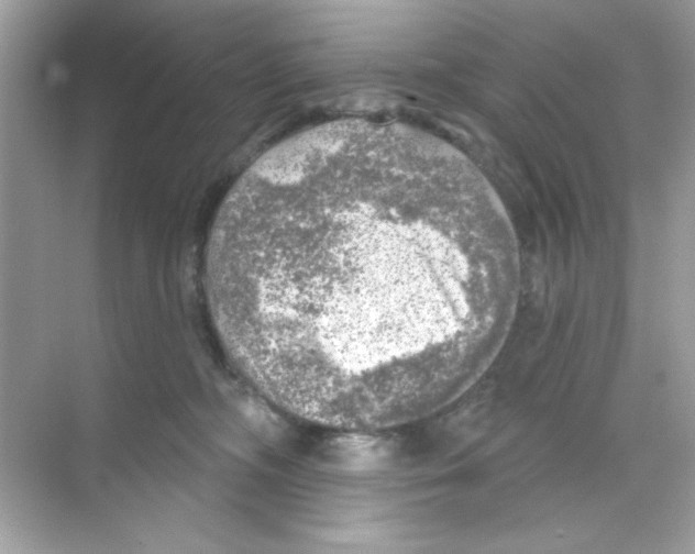 X0000068890326200606021926