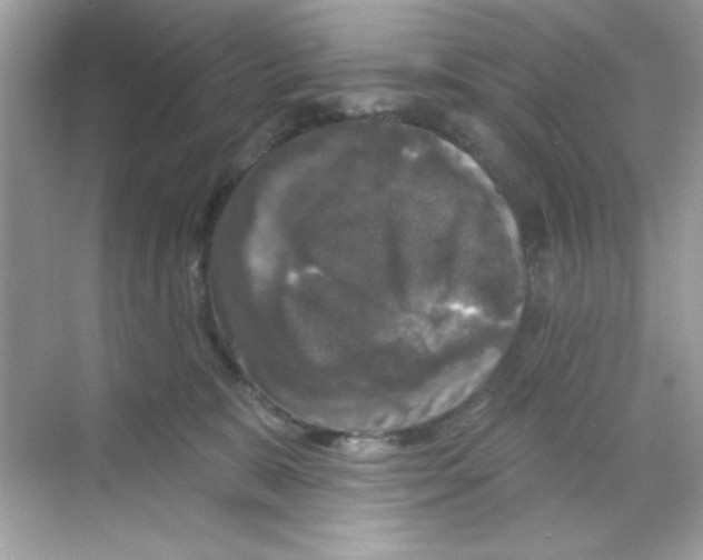 X0000068890327200606021926