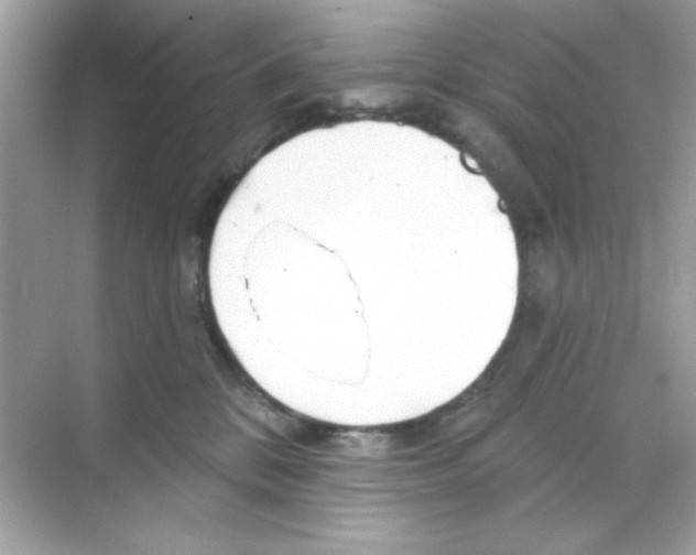 X0000068890328200606021926