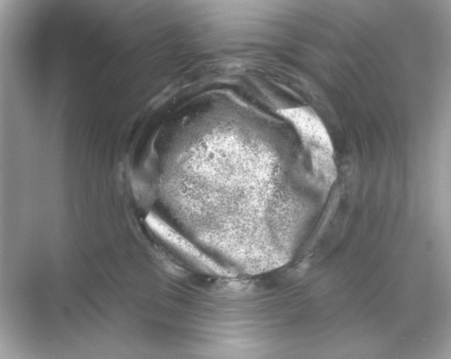 X0000068890329200606021926