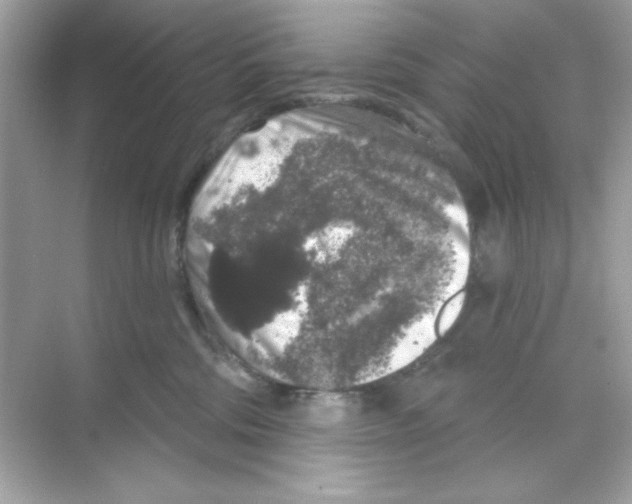 X0000068890330200606021926