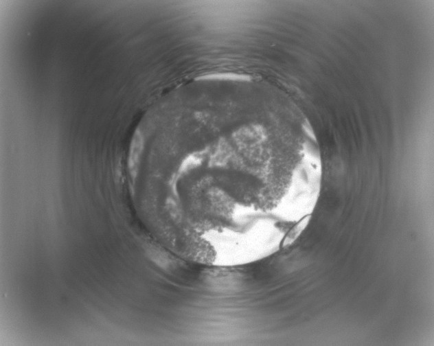 X0000068890331200606021926