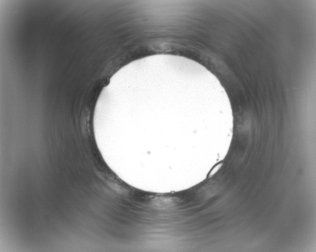 X0000068890332200606021926