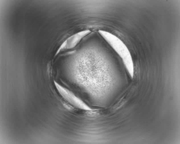 X0000068890333200606021926