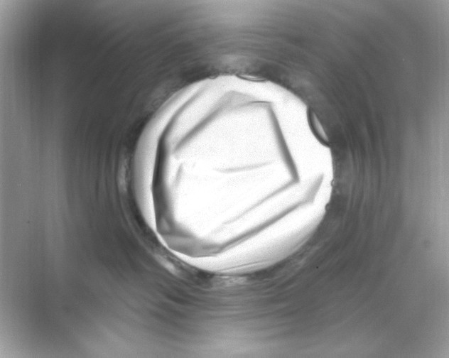 X0000068890334200606021926