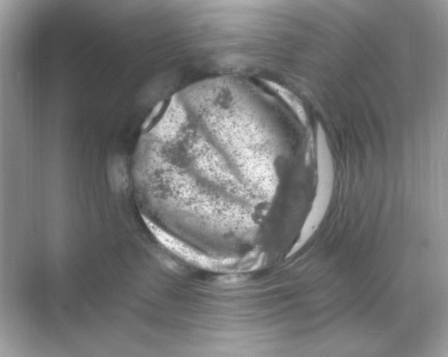 X0000068890335200606021926