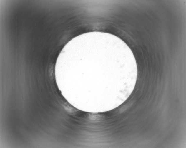 X0000068890336200606021926