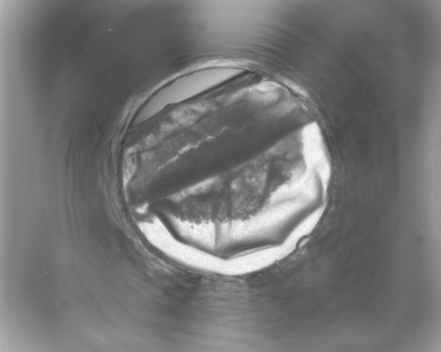 X0000068890337200606021925