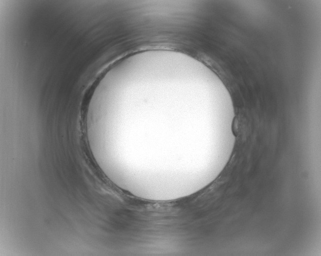 X0000068890338200606021925