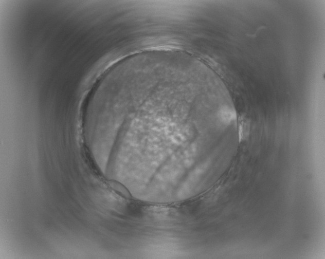 X0000068890339200606021925