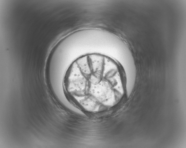 X0000068890340200606021925