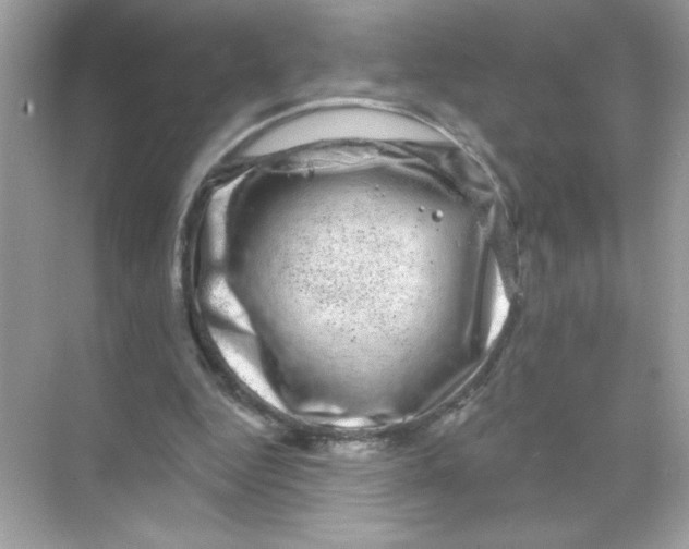 X0000068890344200606021925