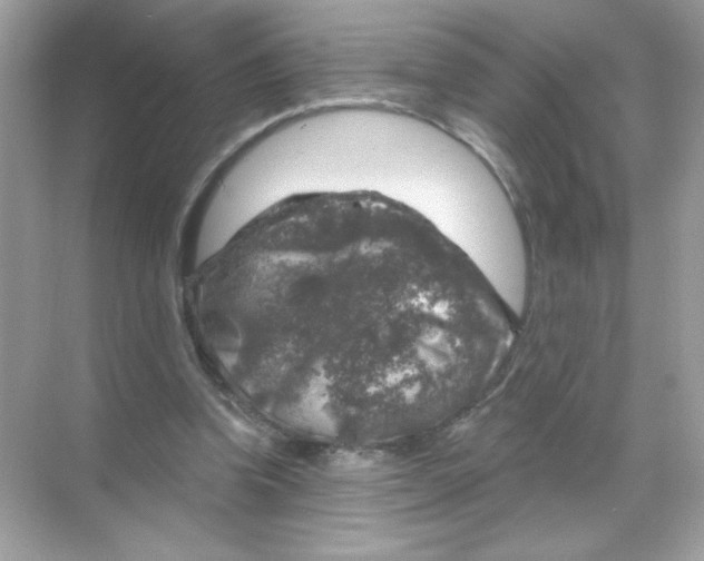 X0000068890346200606021925