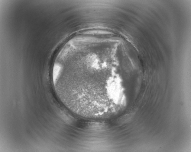 X0000068890347200606021925