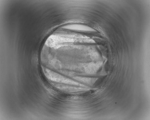 X0000068890348200606021925