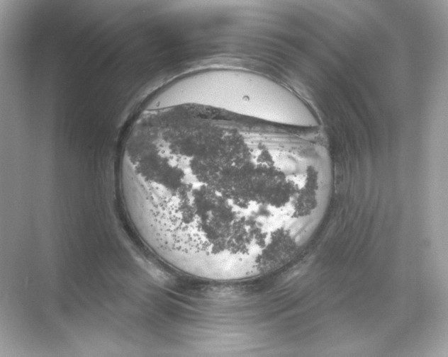 X0000068890349200606021925