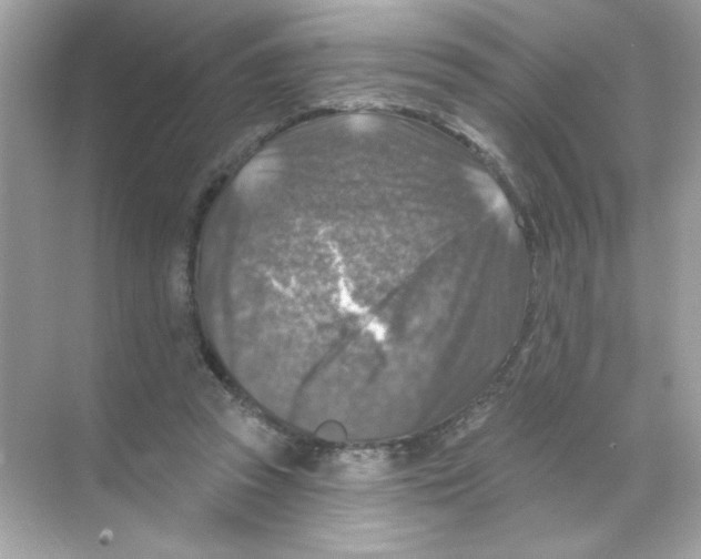 X0000068890353200606021925