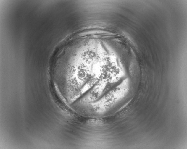 X0000068890354200606021925