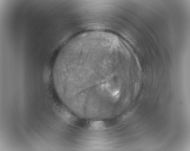 X0000068890355200606021925