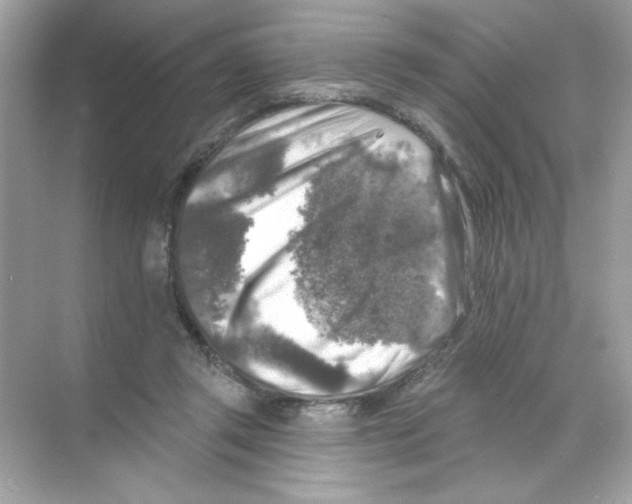 X0000068890357200606021925