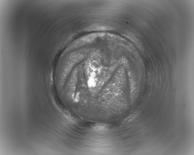 X0000068890358200606021925