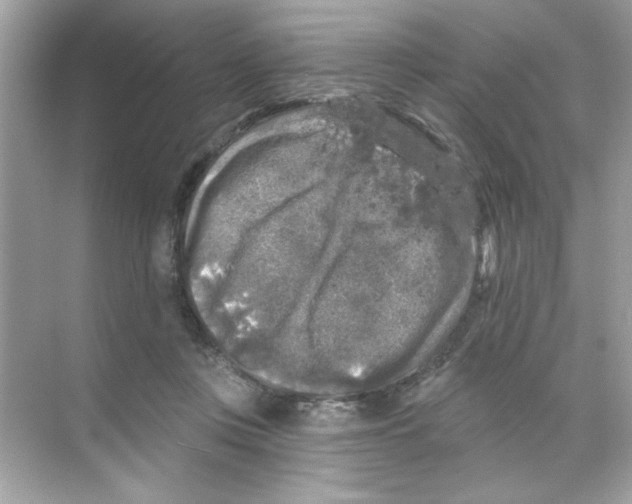 X0000068890359200606021925