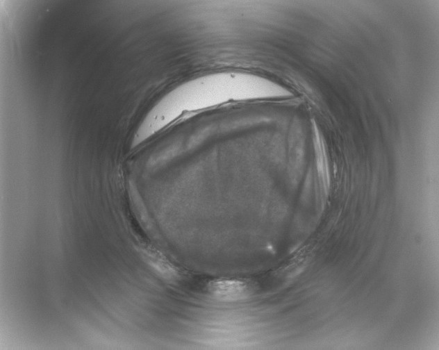 X0000068890361200606021925