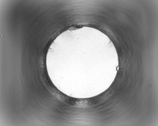 X0000068890362200606021925