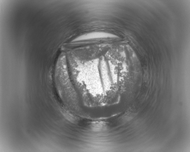 X0000068890363200606021925