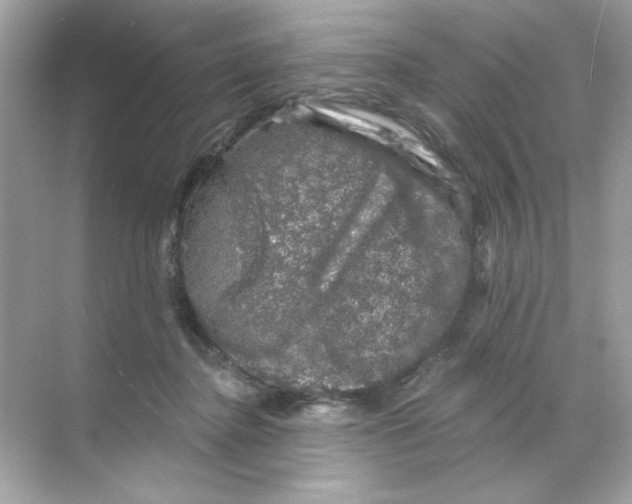 X0000068890364200606021925