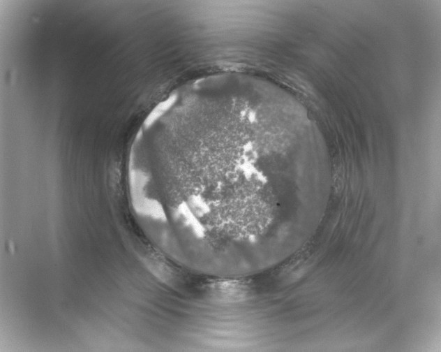 X0000068890365200606021925