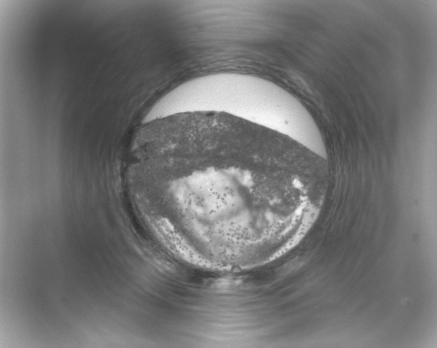 X0000068890366200606021925