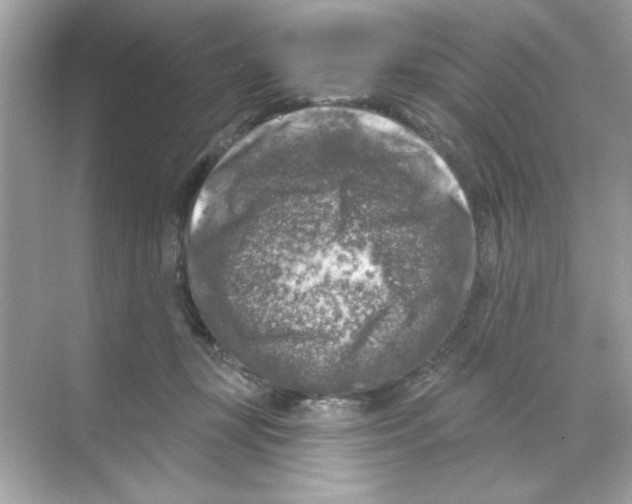 X0000068890367200606021925