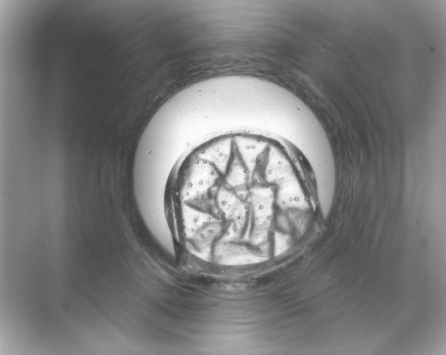 X0000068890368200606021925