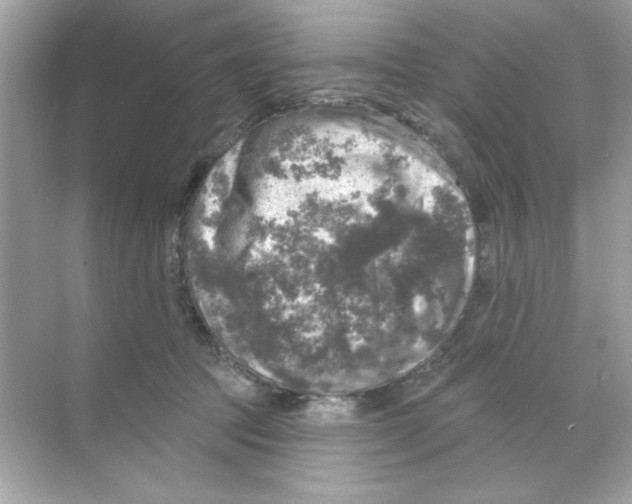 X0000068890369200606021925