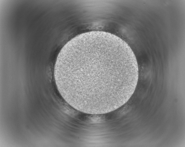 X0000068890370200606021925