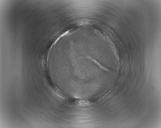 X0000068890372200606021925